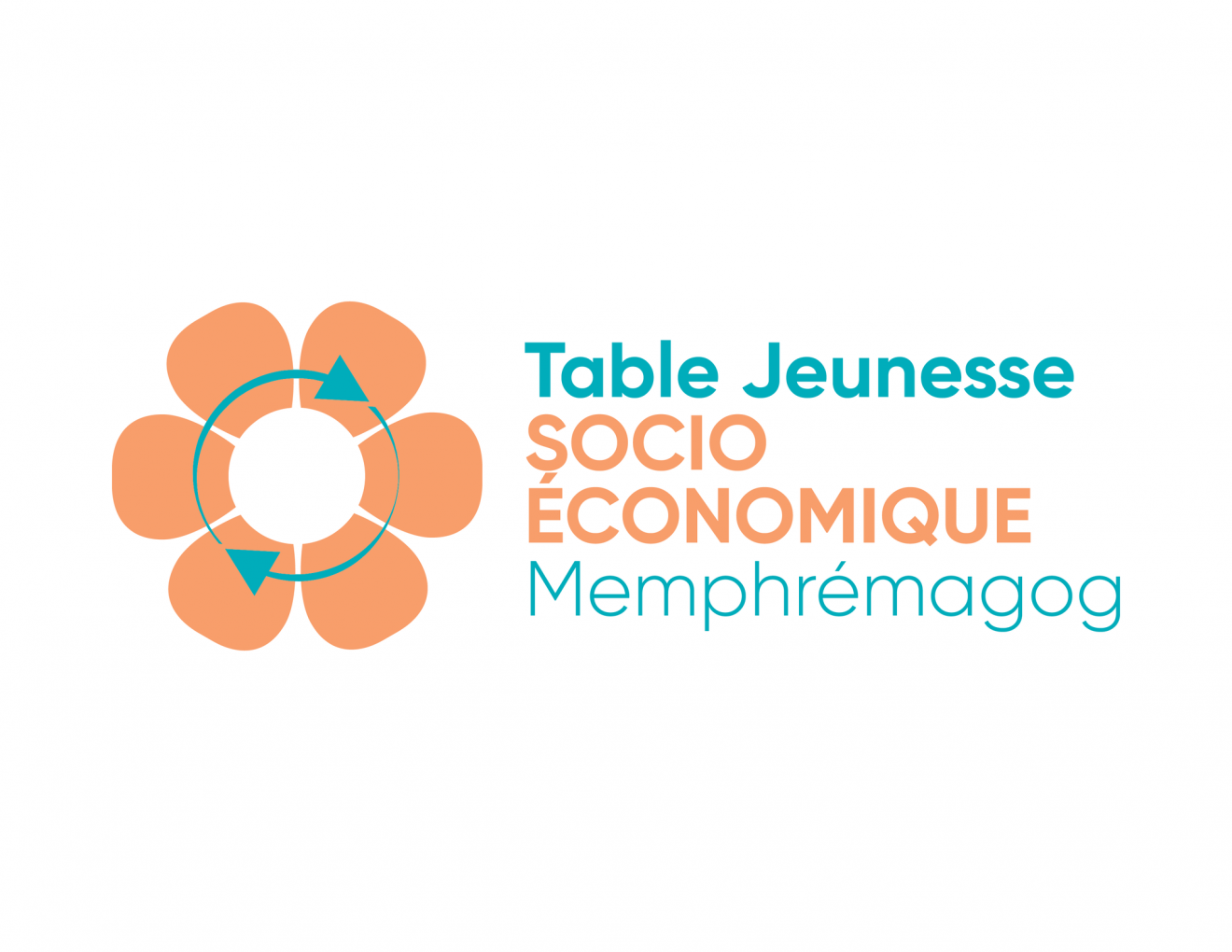 TJSEM_logo